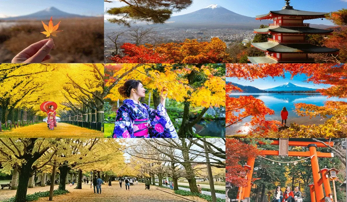 Exploring Tokyo: 7 Days of Fun Without Breaking the Bank