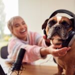 Woman With Pet French Bulldog Wearing Headphones Recording Podcast Or Broadcasting On Radio At Home