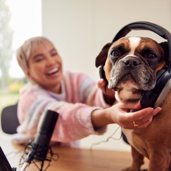 Woman With Pet French Bulldog Wearing Headphones Recording Podcast Or Broadcasting On Radio At Home